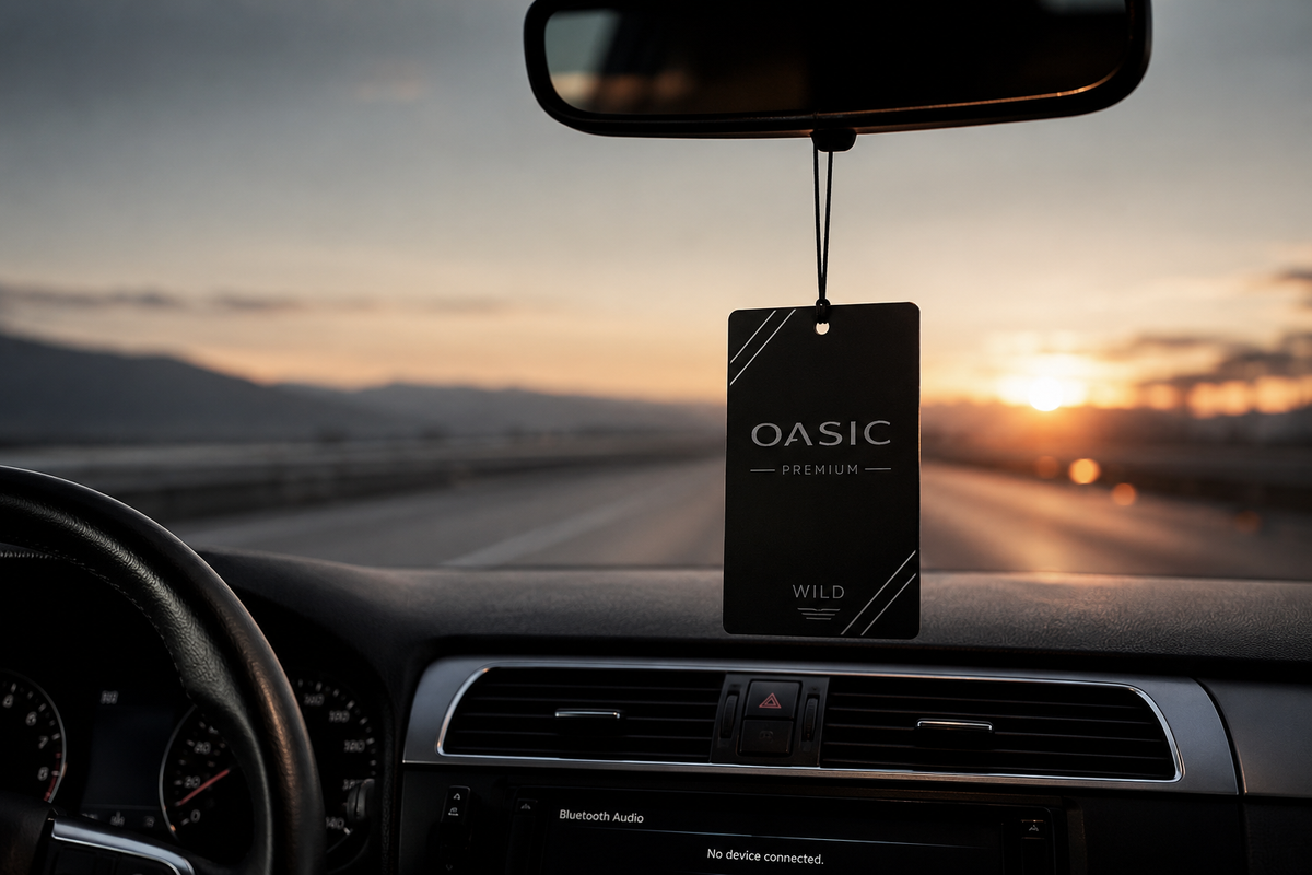 Ambientador OASIC en el coche
